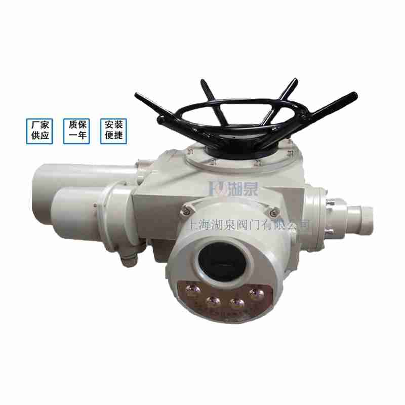 閥門電動(dòng)裝置（dzw05,10,20，30,45,60，90,12