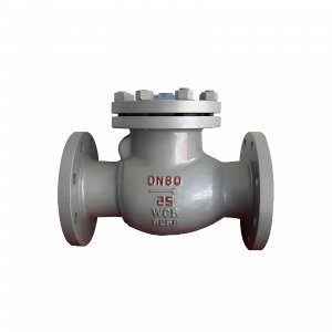 DN50 PN25 介質(zhì)：甲胺，溫度：80℃止回閥