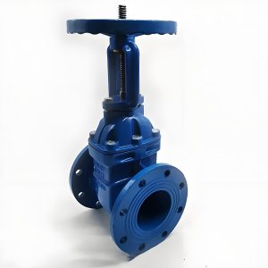 手動(dòng)閘閥Z41T-16 DN50/DN65廠家直銷，上海發(fā)