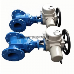 電動(dòng)閘閥Z945T -16Q DN80排污水法蘭鑄鐵